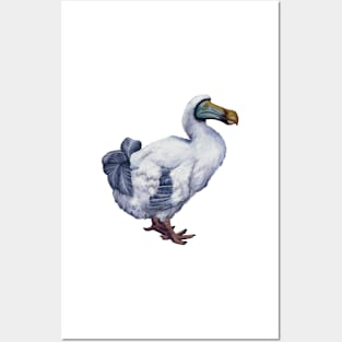 The extinct Dodo. Dodo illustration. Quirky, weird and fluffy. Have a piece of natural history. Unique gift. Posters and Art